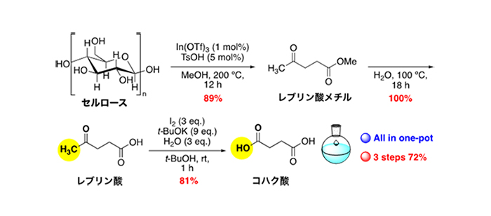 セルロースからコハク酸へのワンポット合成の図