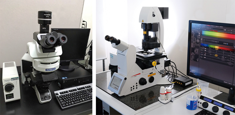 正立顕微鏡と共焦点レーザー顕微鏡の写真